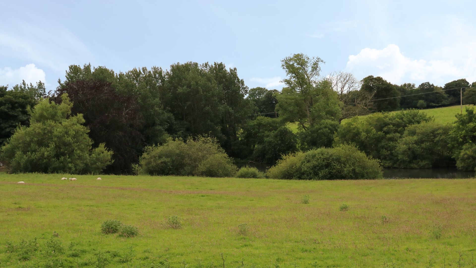 Lady Pond Retreat photo 6