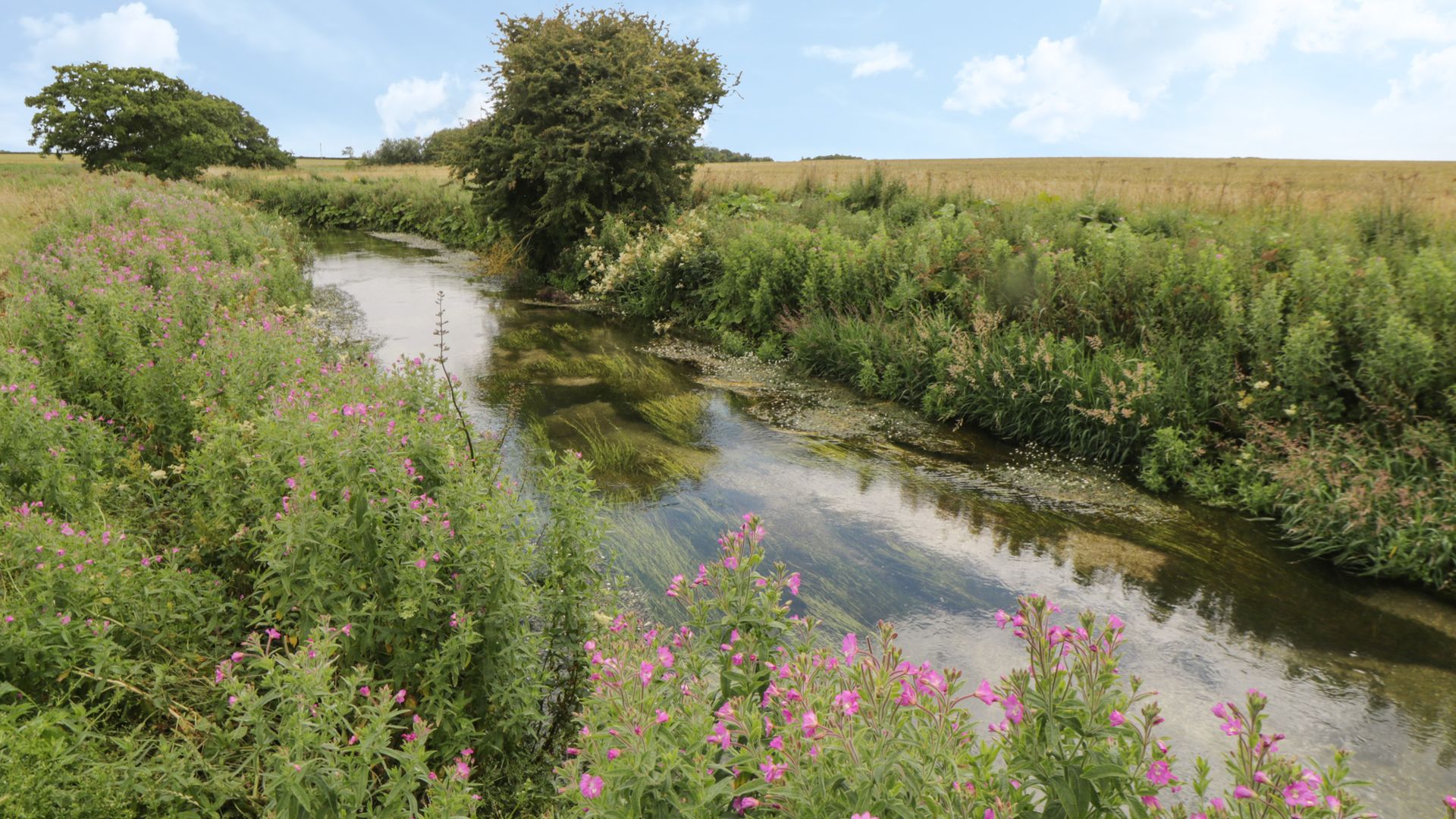 Kingfisher Corner photo 6