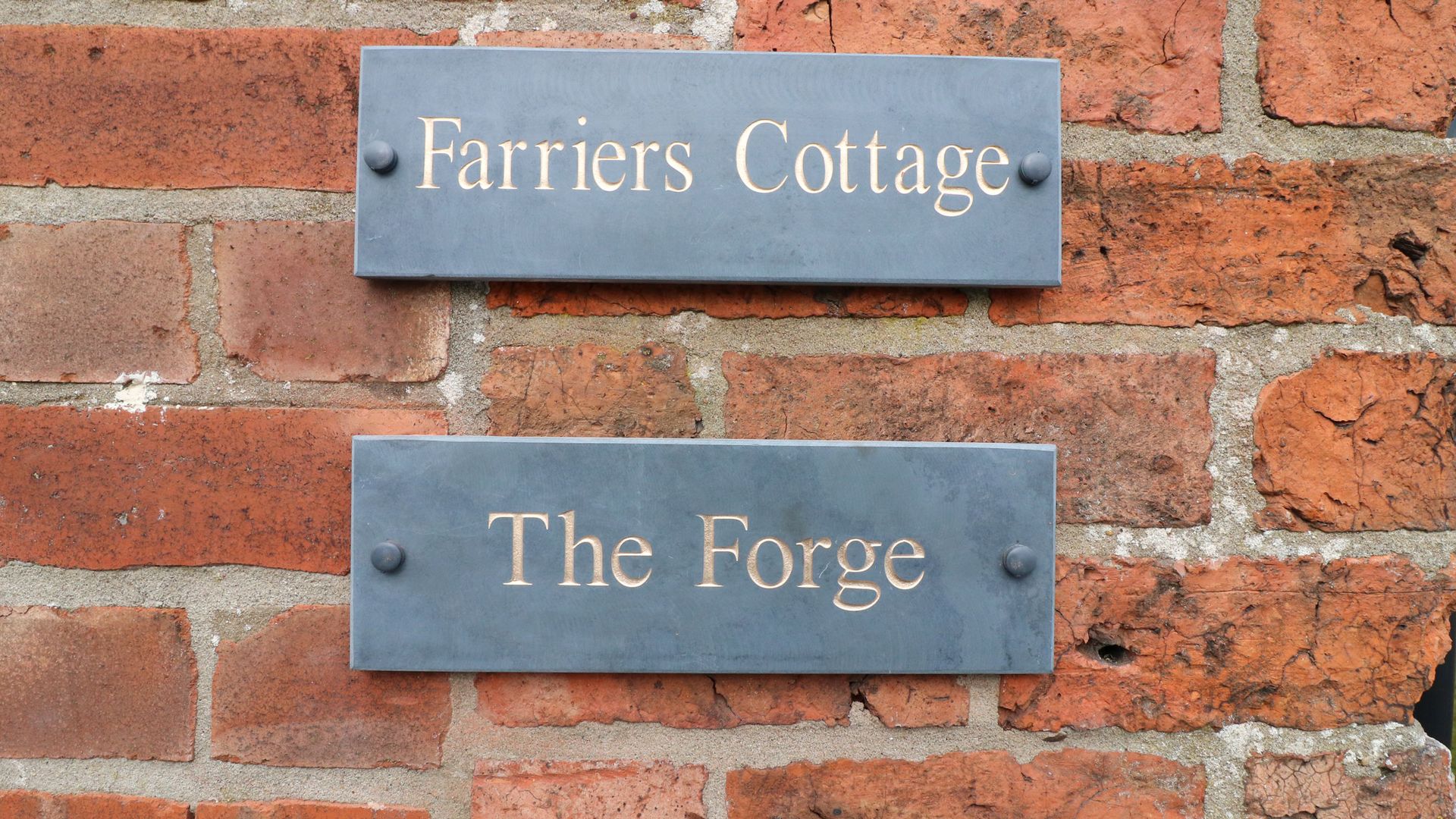 The Forge photo 8