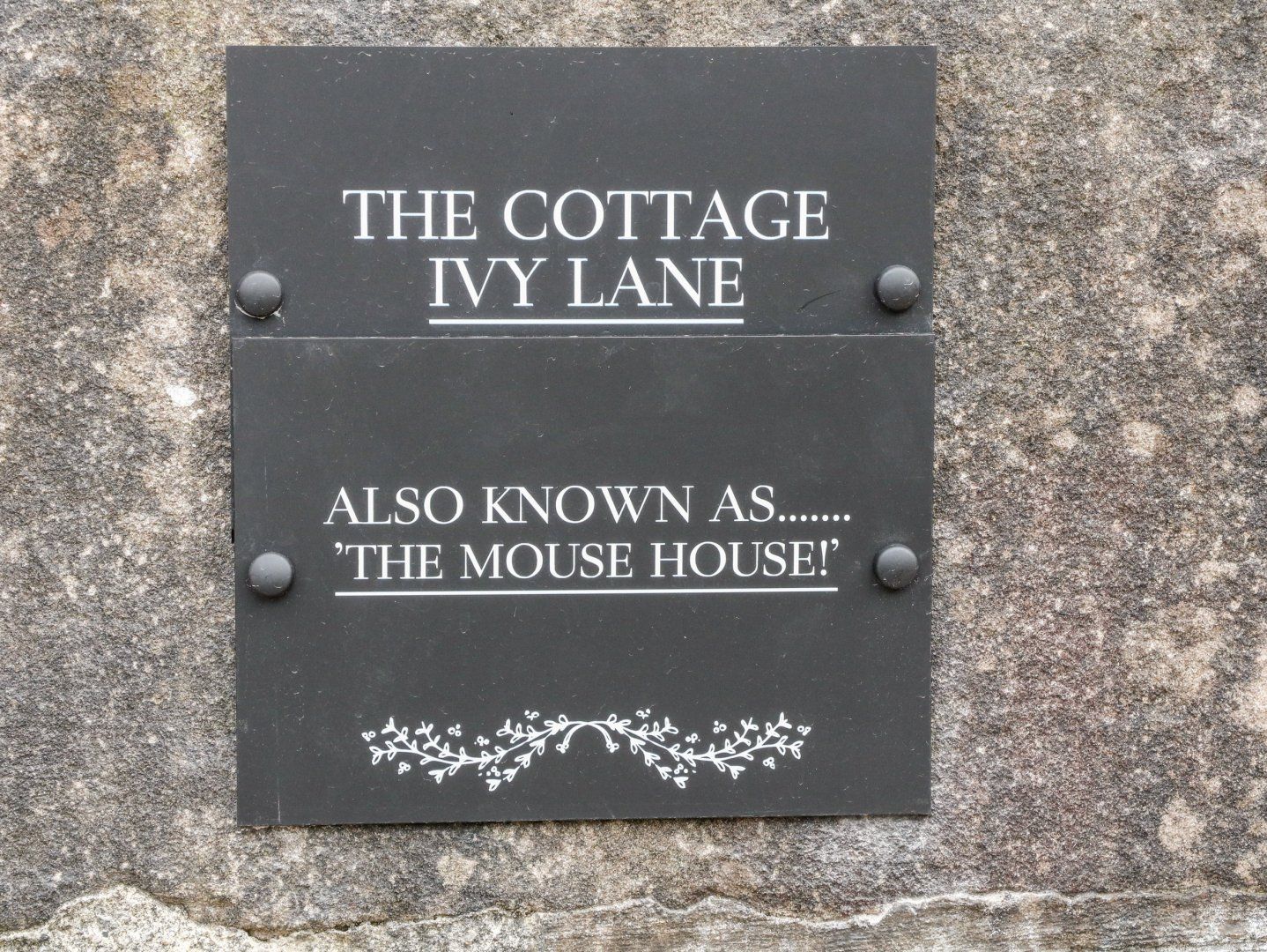 The Mouse House photo 1