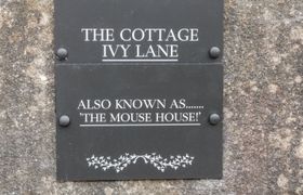The Mouse House reviews