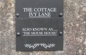 The Mouse House