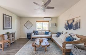 The Ocotillo Oasis reviews