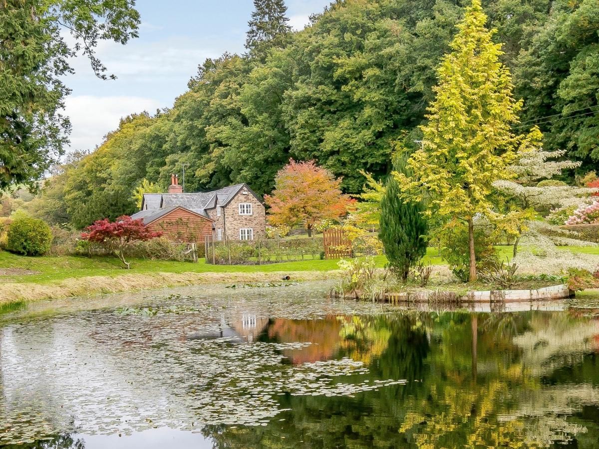 Cottage in Mid Wales photo 1