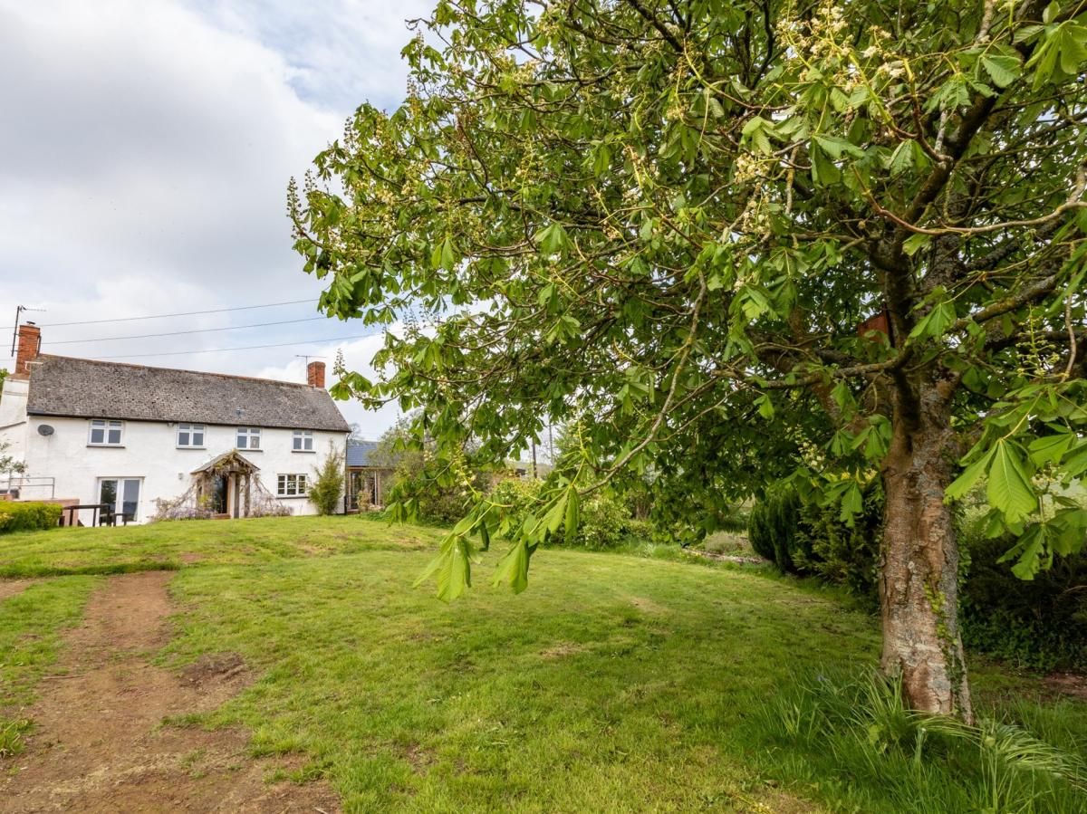 House in Mid and East Devon photo 1