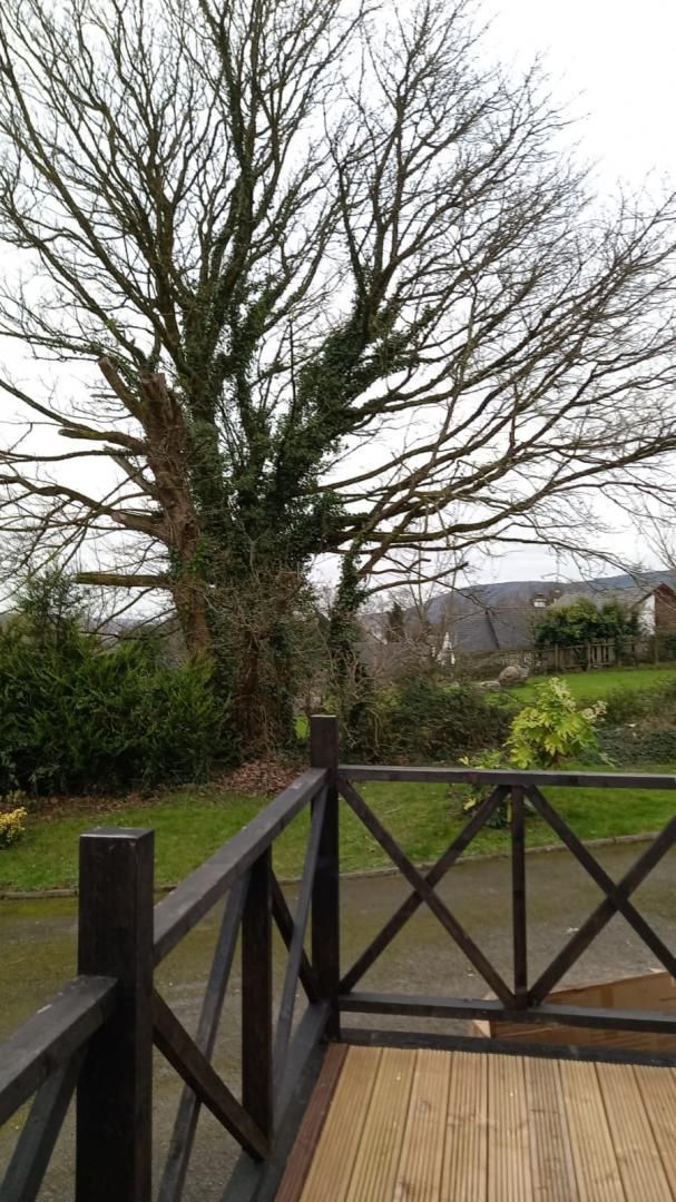Countryside Lodge Killaloe photo 8