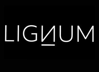 LIGИUM