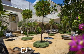 Orange Trees in Seville