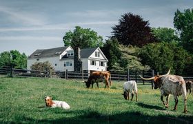 Mystic Countryside Farm reviews