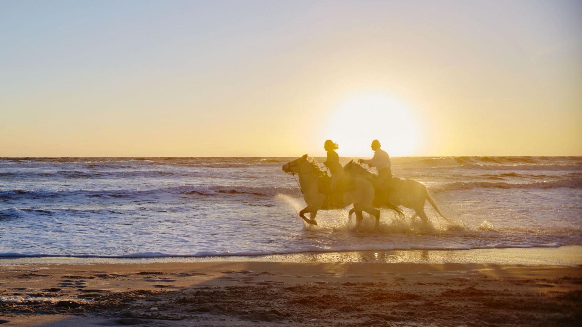 The Ritz-Carlton, Amelia Island photo 21