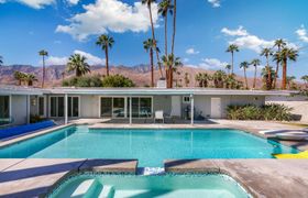 Palm Tree Springs reviews