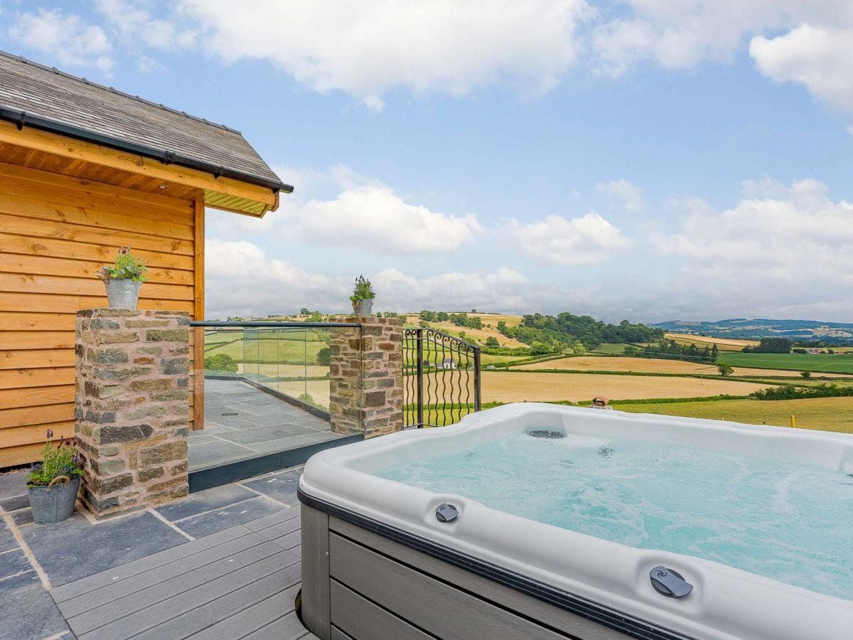 Log Cabin in Mid Wales photo 3
