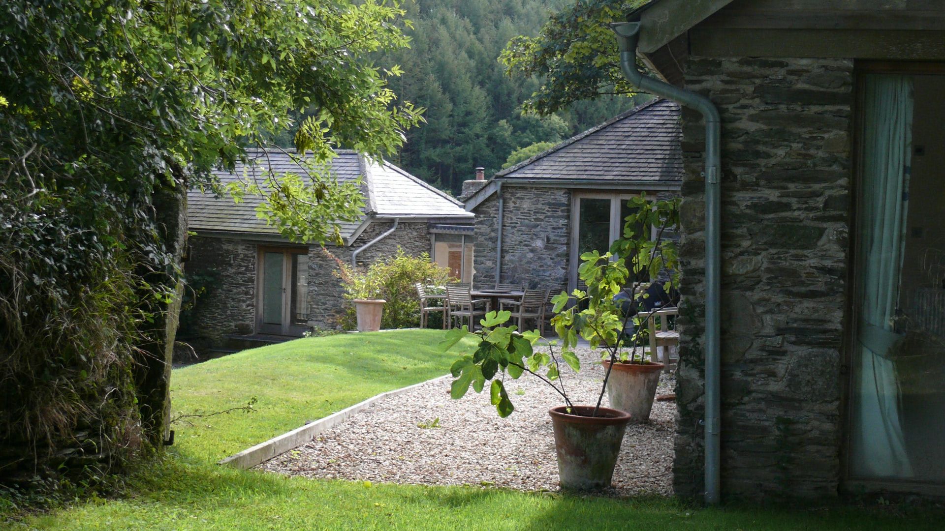 Grapes & Beams photo 10