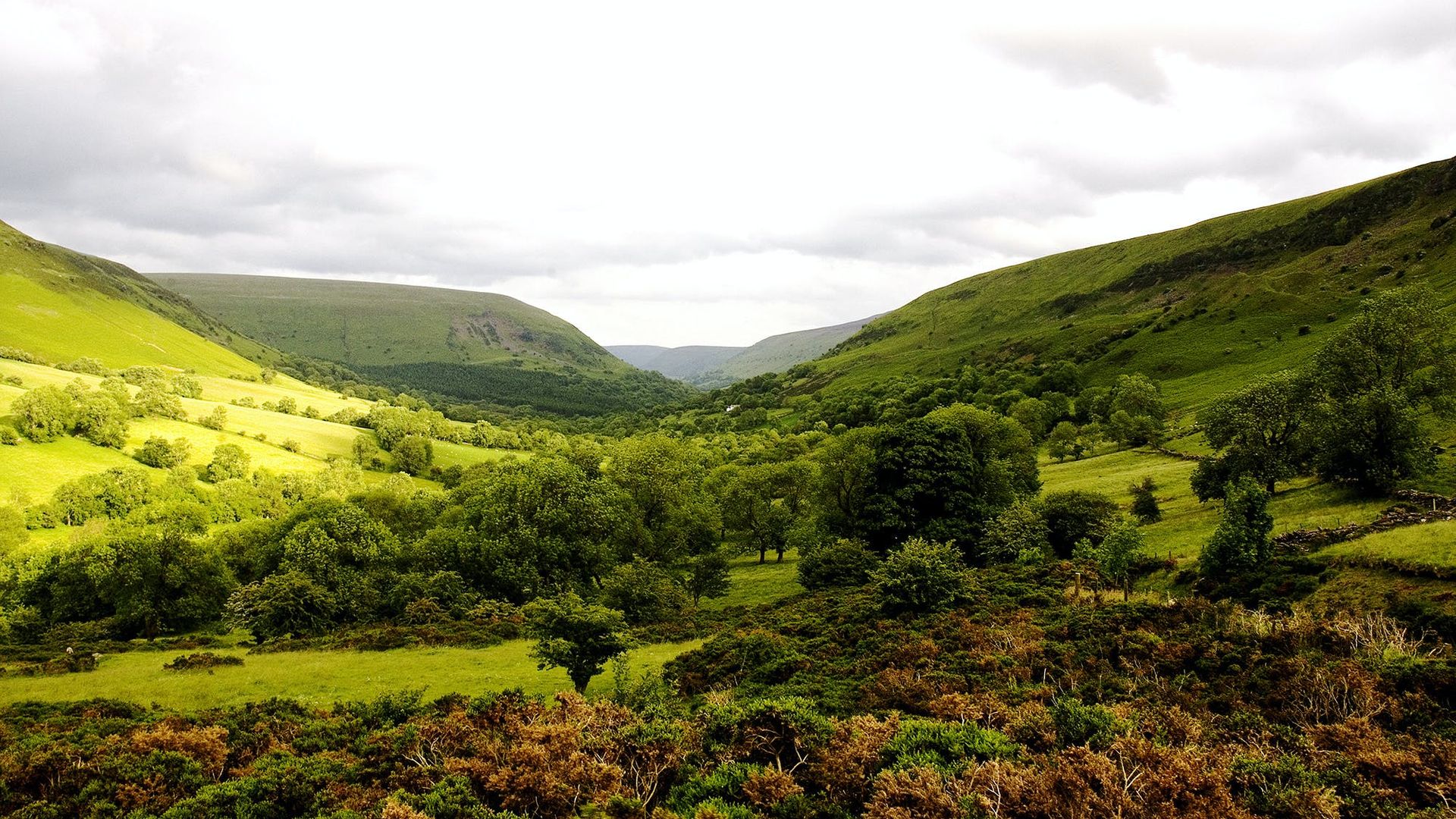 Serenity in the Black Mountains photo 1